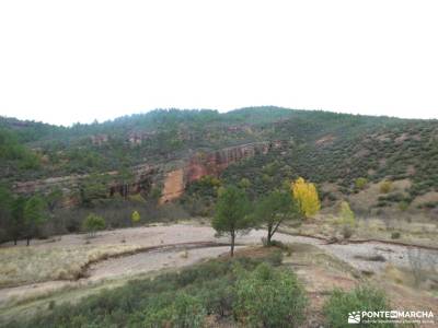Parque Natural del Alto Tajo-Valle de los Milagros;paisajes de ordesa santoña ruta del caballo desfi